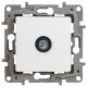Розетка TV, простая, 2400 МГц, 1,5дб, цвет белый, Legrand Etika 672251