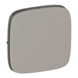 Лицевая панель заглушки, цвет алюминий, Valena Allure, Legrand 755187