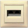 Механізм розетки телефонної 2х RJ11 слонова кістка, Valena Legrand
