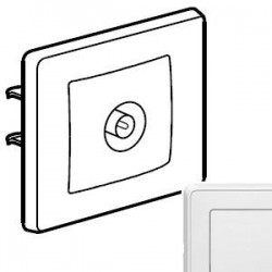 Механизм розетки TВ проходной, цвет белый, Legrand Cariva 773680